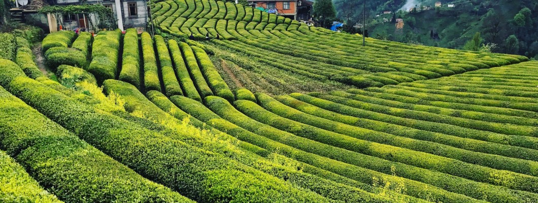 Rize'de Gezilecek Yerler